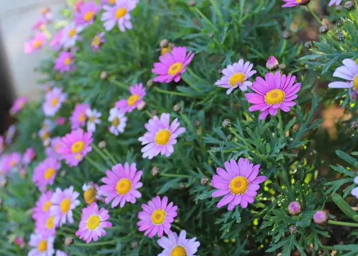 Prázdninový dům Ruby