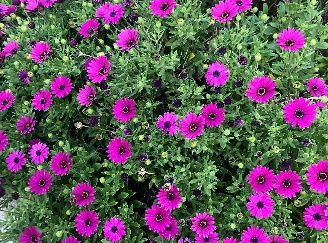 Prázdninový dům Ruby *