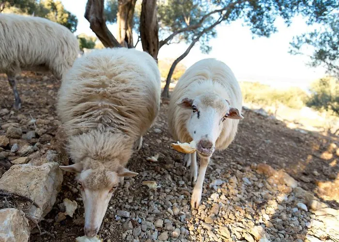 Ruby Prázdninový dům *